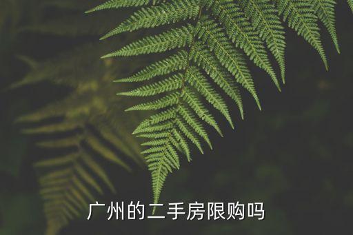 廣州二手房 不限購，廣州的二手房限購嗎