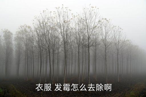 衣服發霉怎么洗掉,白色棉質衣服發霉怎么洗掉