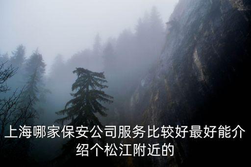 上海市安保安公司，上海哪家保安公司服務比較好最好能介紹個松江附近的
