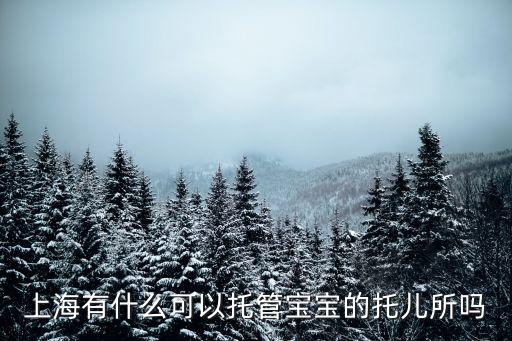 上海市家庭式托兒所，上海浦東新區托兒所費用高嗎哪家價格合理