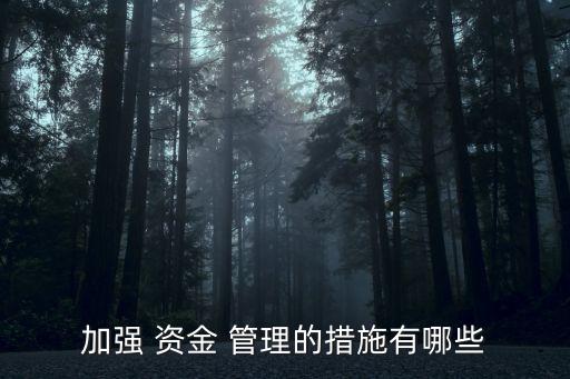資金管理,企業如何進行資金管理導致資金體外循環嚴重