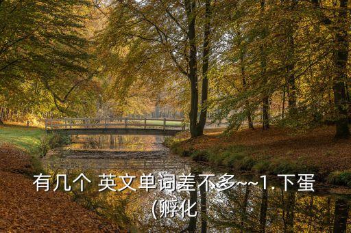 有幾個 英文單詞差不多~~1.下蛋(孵化