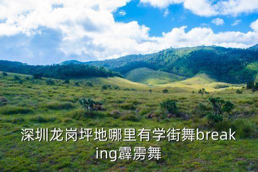 深圳培訓霹靂舞，深圳龍崗坪地哪里有學街舞breaking霹靂舞