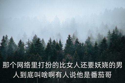 深圳西紅柿哥，網(wǎng)紅西紅杮在廣西河池被抓了嗎