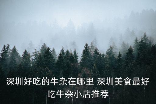 深圳好店推薦雜貨，深圳市寶安區購物有哪些地方最好是有好多精品屋雜貨之類的