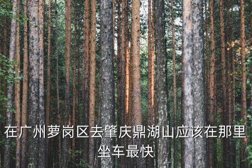 在廣州蘿崗區去肇慶鼎湖山應該在那里坐車最快