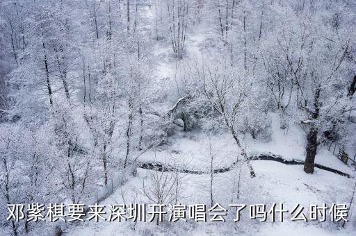 鄧紫棋演唱會深圳開場視頻，鄧紫棋深圳演唱會在哪里開啊