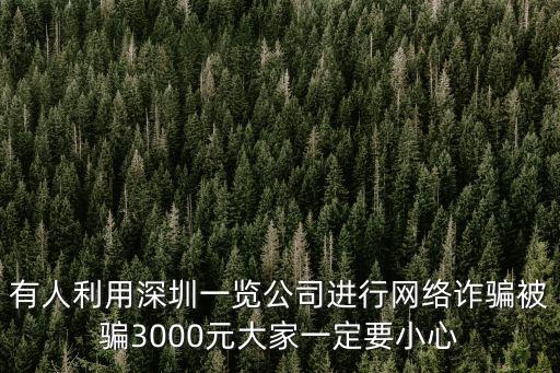 有人利用深圳一覽公司進行網(wǎng)絡詐騙被騙3000元大家一定要小心