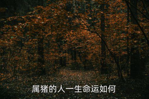 屬豬的人一生命運如何