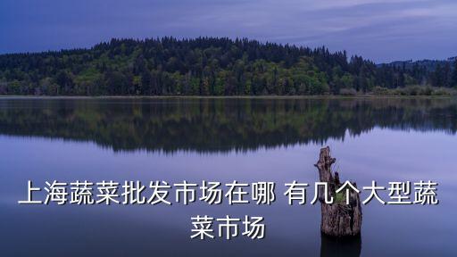 上海市總蔬菜批發(fā)市場(chǎng)，上海最大的蔬菜批發(fā)交易市場(chǎng)在哪