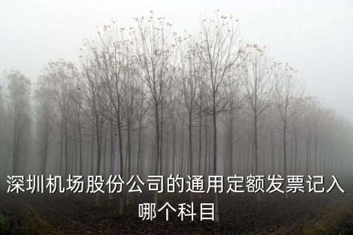 深圳機場股份公司的通用定額發票記入哪個科目