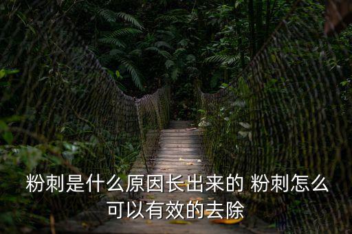  粉刺是什么原因長(zhǎng)出來(lái)的 粉刺怎么可以有效的去除