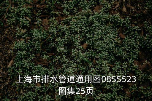 上海市排水管道通用圖1 4，上海市排水管道通用圖08SS523圖集25頁