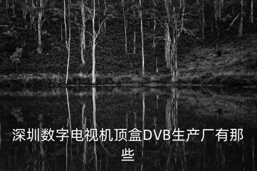 深圳數(shù)字電視機(jī)頂盒DVB生產(chǎn)廠有那些