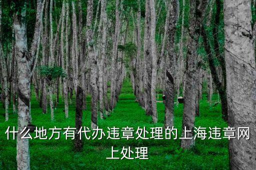 什么地方有代辦違章處理的上海違章網(wǎng)上處理