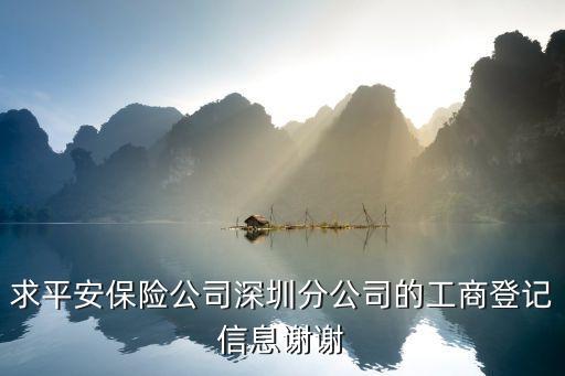 平安保險深圳分公司李美吉，深圳平安保險咨詢