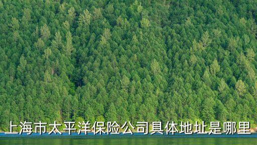 上海市太平洋保險公司具體地址是哪里