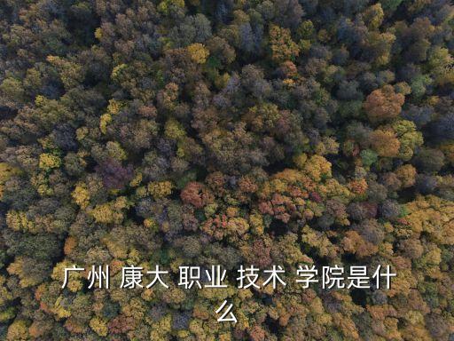  廣州 康大 職業 技術 學院是什么