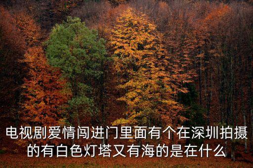電視劇愛(ài)情闖進(jìn)門里面有個(gè)在深圳拍攝的有白色燈塔又有海的是在什么