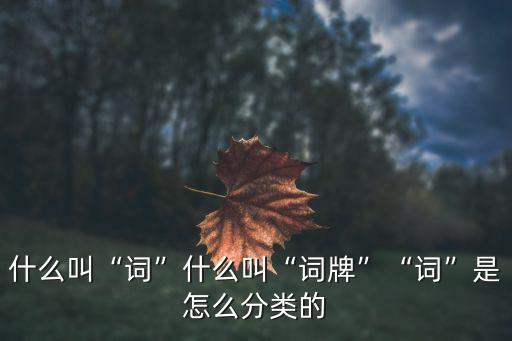 什么叫“詞”什么叫“詞牌”“詞”是怎么分類的