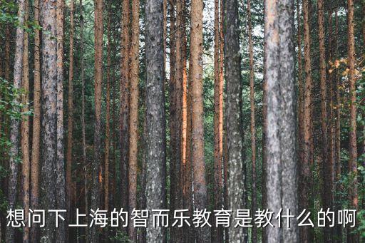 想問下上海的智而樂教育是教什么的啊
