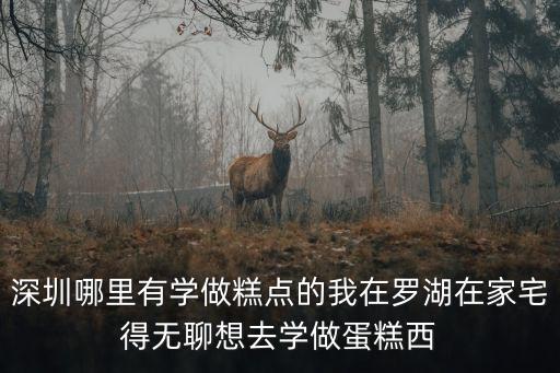 深圳學中點，深圳哪里有學做糕點的我在羅湖在家宅得無聊想去學做蛋糕西