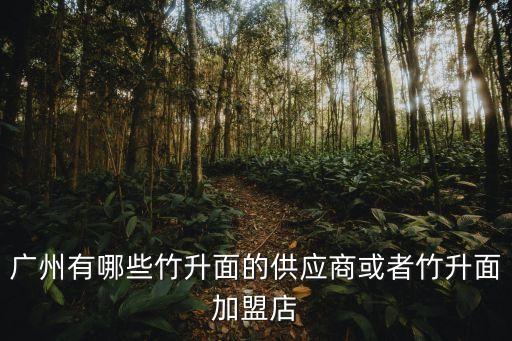 廣州有哪些竹升面的供應商或者竹升面加盟店