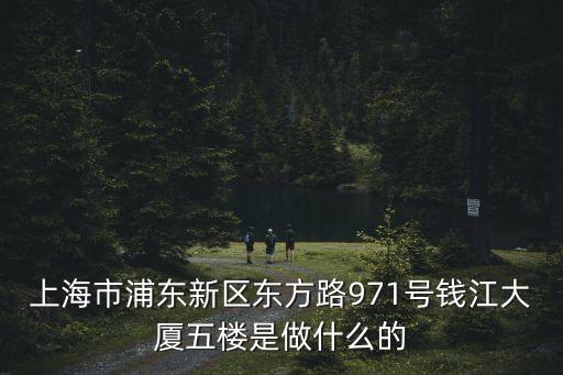 上海市正榮府，上海市浦東新區(qū)東方路971號錢江大廈五樓是做什么的