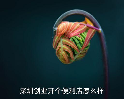 深圳便利店好開不，深圳創業開個便利店怎么樣