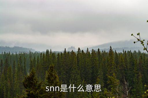 snn是什么意思