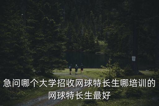 急問哪個大學招收網球特長生哪培訓的網球特長生最好