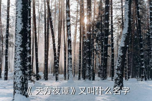 《 天方夜譚》又叫什么名字