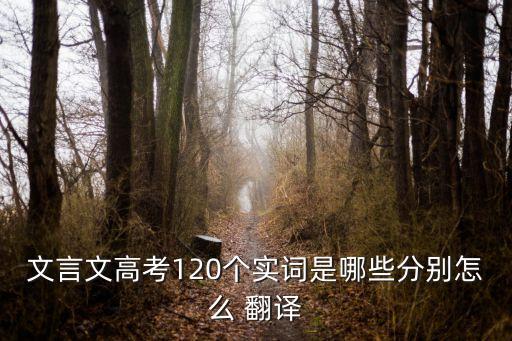 文言文高考120個(gè)實(shí)詞是哪些分別怎么 翻譯