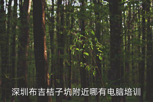 深圳市森信利盈，深圳布吉桔子坑附近哪有電腦培訓