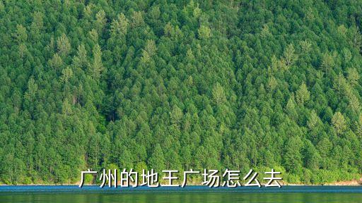 廣州時代地王，廣州的地王廣場怎么去