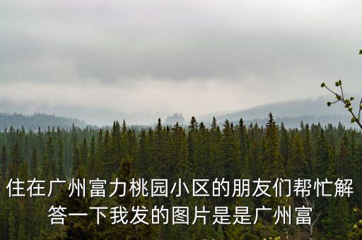 住在廣州富力桃園小區的朋友們幫忙解答一下我發的圖片是是廣州富
