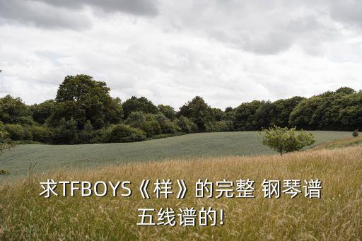 最全鋼琴譜,雨天的鋼琴譜簡(jiǎn)譜數(shù)字是什么?