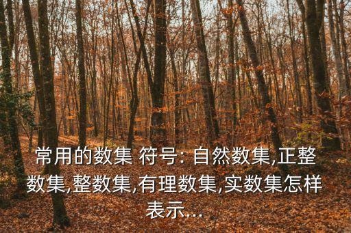 自然數(shù)的符號,有理數(shù),無理數(shù),整數(shù),自然數(shù)的符號