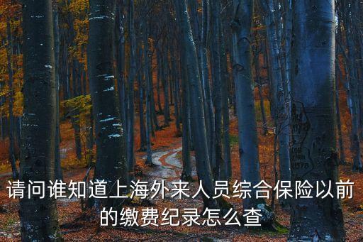 上海市綜合保險去哪里查，上海市外來人員綜合保險查詢余額