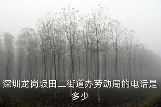 深圳市龍崗12348，龍崗法律援助中心聯系電話是都少呢