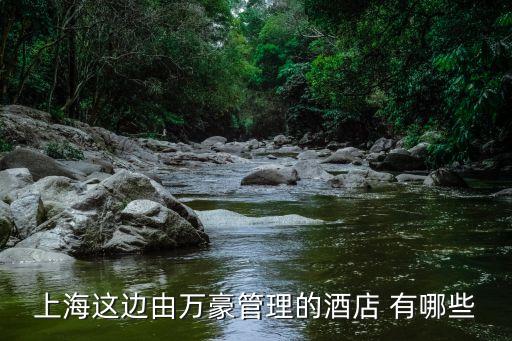 上海市萬豪酒店分，上海這邊由萬豪管理的酒店 有哪些