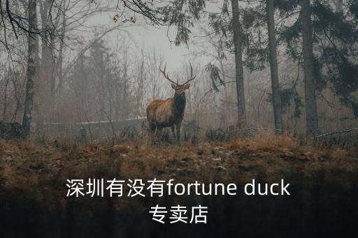 深圳有沒(méi)有fortune duck專賣店