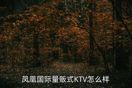 鳳凰國際量販式KTV怎么樣