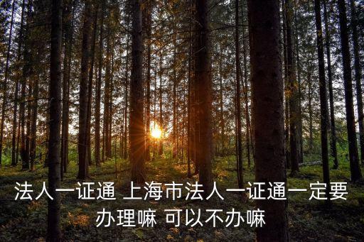法人一證通 上海市法人一證通一定要辦理嘛 可以不辦嘛