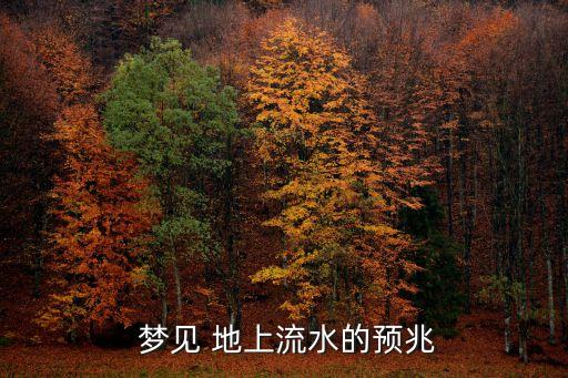 夢見 地上流水的預兆