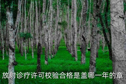 放射診療許可校驗合格是蓋哪一年的章