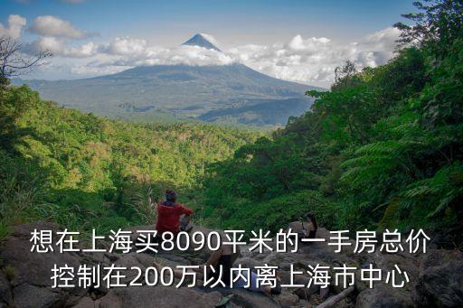 想在上海買8090平米的一手房總價控制在200萬以內離上海市中心