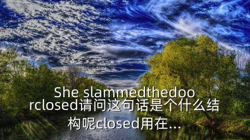 slammed,猛踩剎車(chē)卡車(chē)停在水泥分隔道上