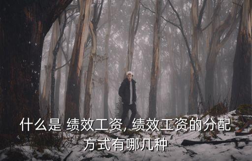 什么是 績(jī)效工資, 績(jī)效工資的分配方式有哪幾種