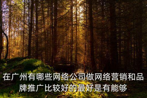 在廣州有哪些網絡公司做網絡營銷和品牌推廣比較好的最好是有能夠